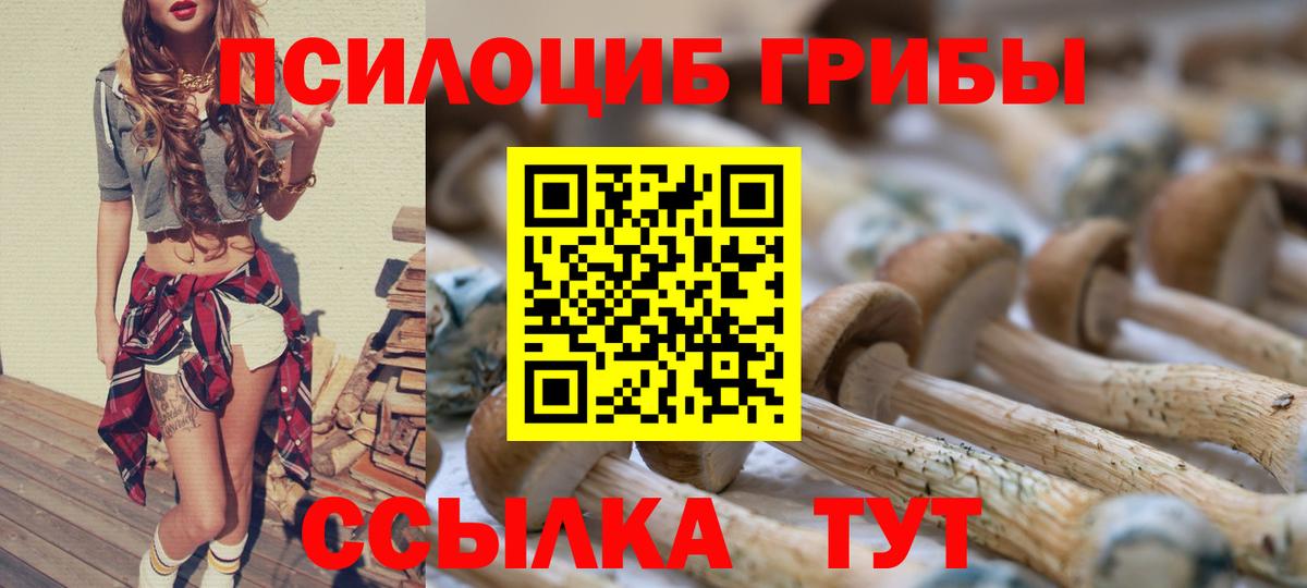 Галлюциногенные грибы ЛСД Новый Уренгой